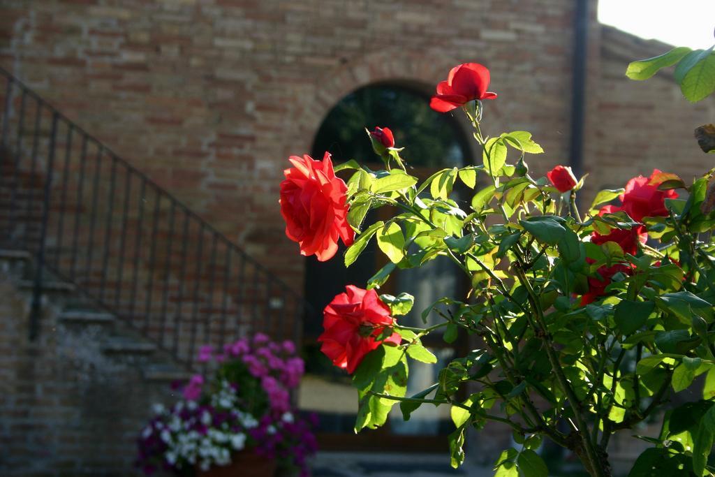 Fattoria Armena Villa Buonconvento Buitenkant foto