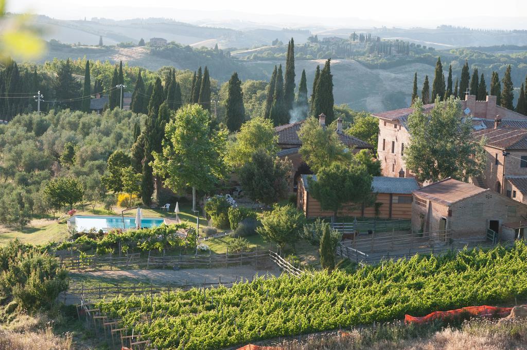 Fattoria Armena Villa Buonconvento Buitenkant foto